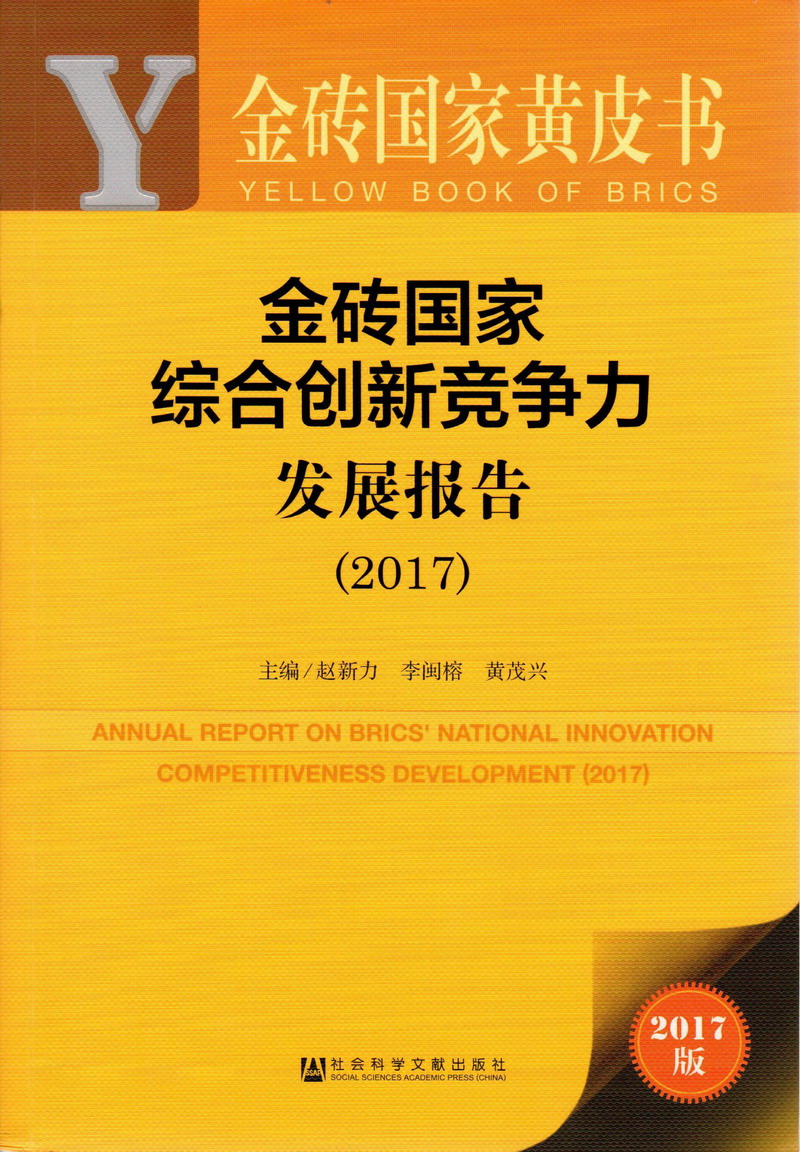 哥哥鸡鸡好大艹的我流水了金砖国家综合创新竞争力发展报告（2017）